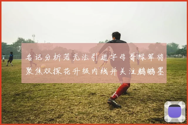 名记分析若无法引进字母哥绿军将聚焦双探花升级内线并关注鹈鹕墨菲